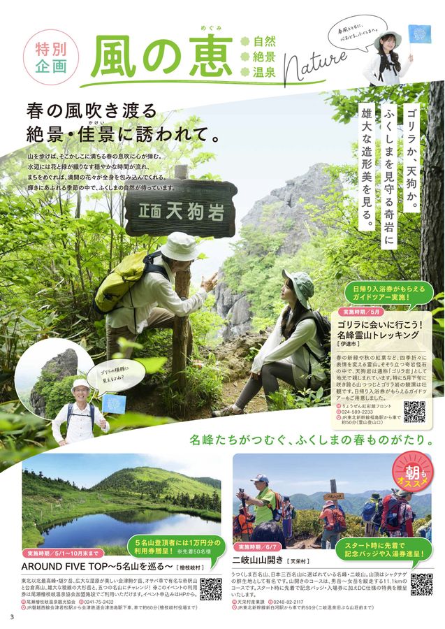 ふくしまデスティネーションキャンペーン公式ガイドブック